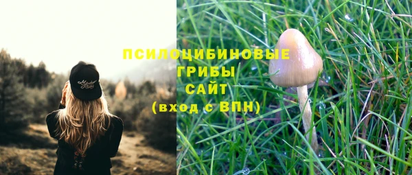 мескалин Армянск
